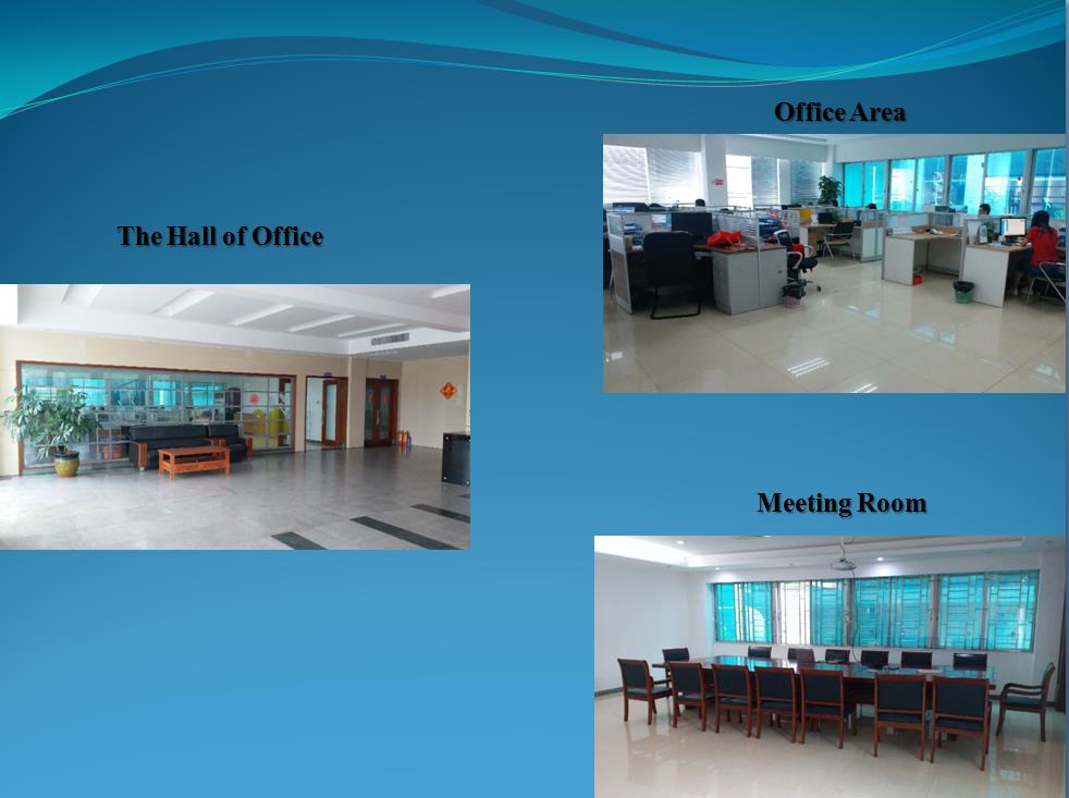 Our Company Office and Team