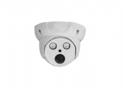 2.0MP Face Recognition HD IP IR dome Camera (2 IR LED)